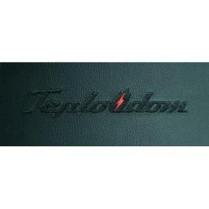 Электрический котел Teplodom i-TRM SILVER StS 12 кВт в Мозыре