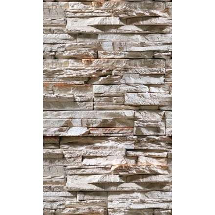 Фиброцементная плита Фаспан Дикий камень №1007 Вертикаль (1200х800х8 мм) купить в Мозыре