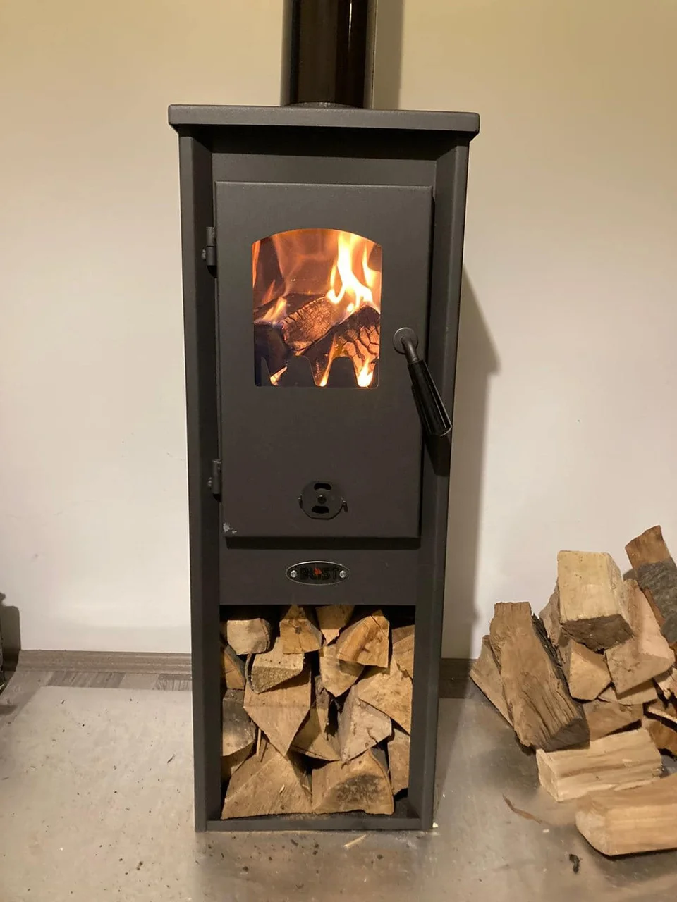 Печь-камин Blist Ekonomik Lux LM N стальная дверца Амазонка бай фото в Мозыре