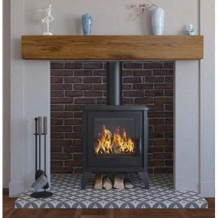 Купить чугунный Печь-камин EVEREST S13 в Мозыре в Мозыре