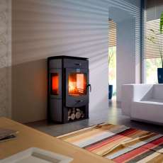 Стальной камин Теплодар Танго фото в Мозыре