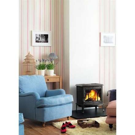 Чугунная печь камин Jotul F100 BP в Мозыре