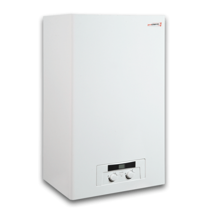 Газовый котел Protherm Рысь 24 Lynx HK 24 в Мозыре