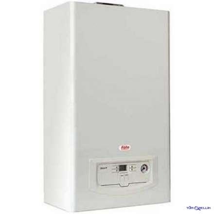 Газовый котёл Immergas BellaGas CB-24-TF в Мозыре