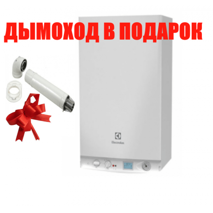 Газовый котел Electrolux GCB 30 Basic Space Duo Fi в Мозыре