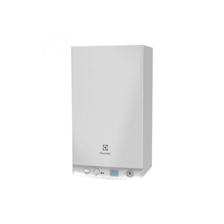 Газовый котел Electrolux GCB 30 Basic Space Duo Fi в Мозыре