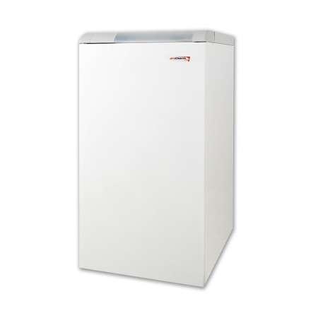 Газовый котел Protherm Медведь 20 KLOM в Мозыре
