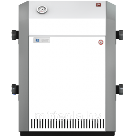 Газовый котел Лемакс Патриот 10 в Мозыре
