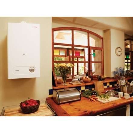 Газовый котел Protherm Тигр 24 KTZ в Мозыре