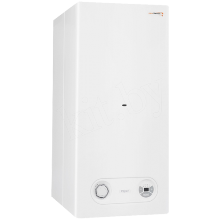 Газовый котел Protherm Тигр 24 KTZ в Мозыре