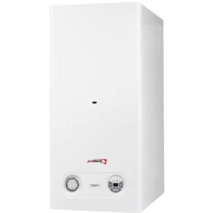 Газовый котел Protherm Тигр 24 KTZ в Мозыре
