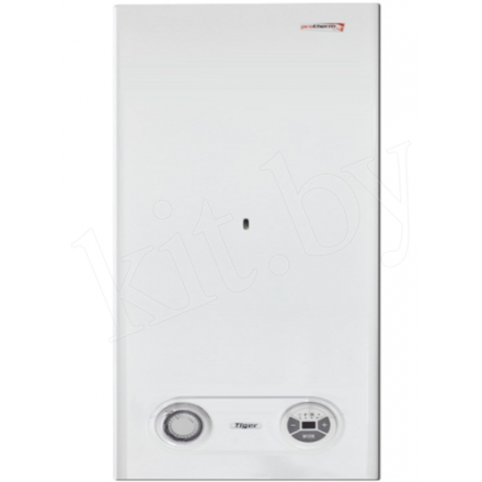 Газовый котел Protherm Тигр 24 KTZ в Мозыре